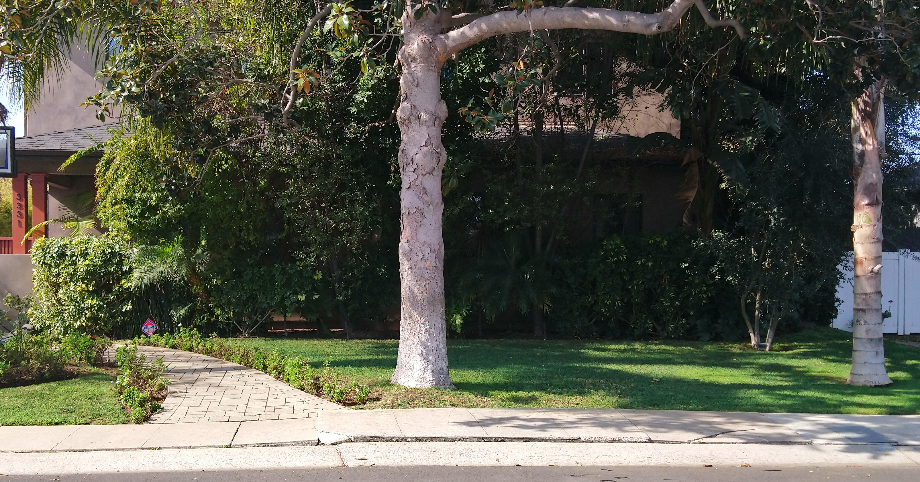 Shaded Hedge